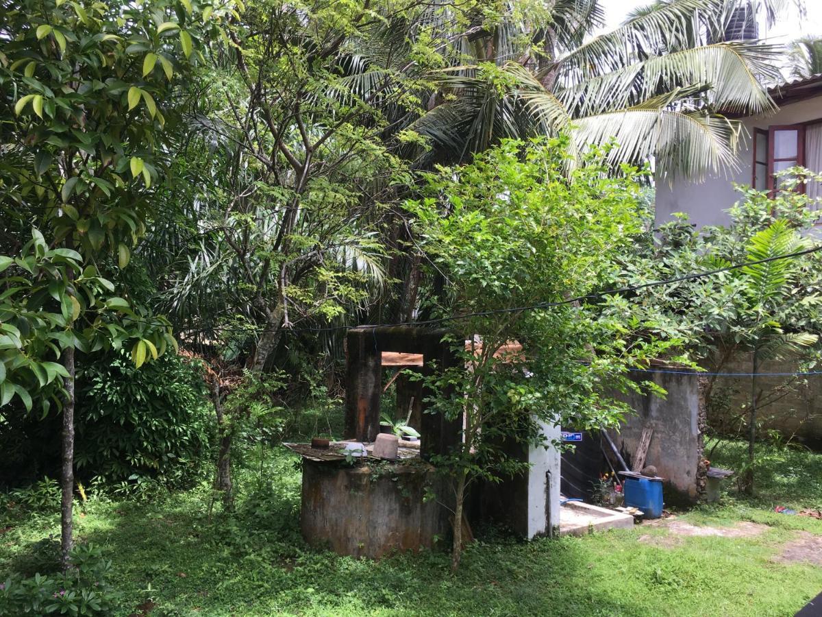 Wellington Villa Hikkaduwa Ngoại thất bức ảnh